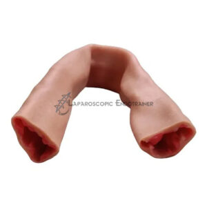 Small bowel anastomosis training model with two layered structure for laparoscopic suturing